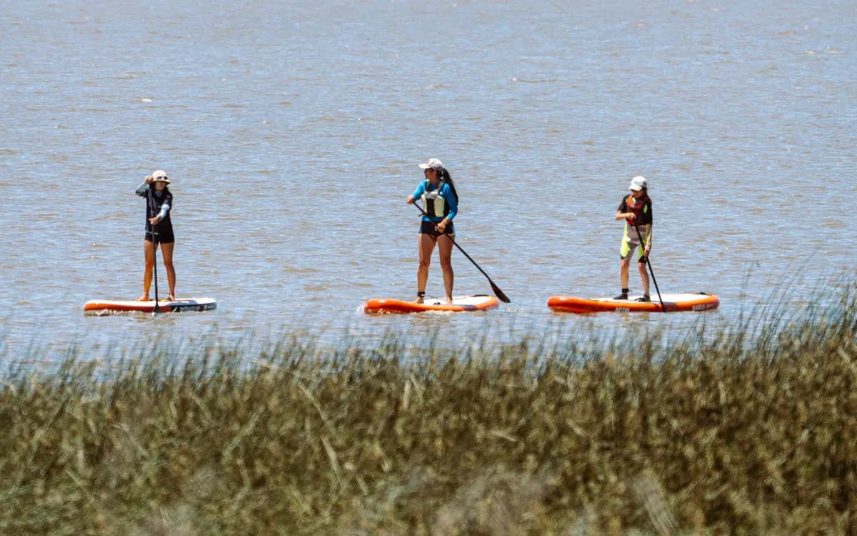 Tres personas reman de pie en tablas de SUP, vistas desde la costa